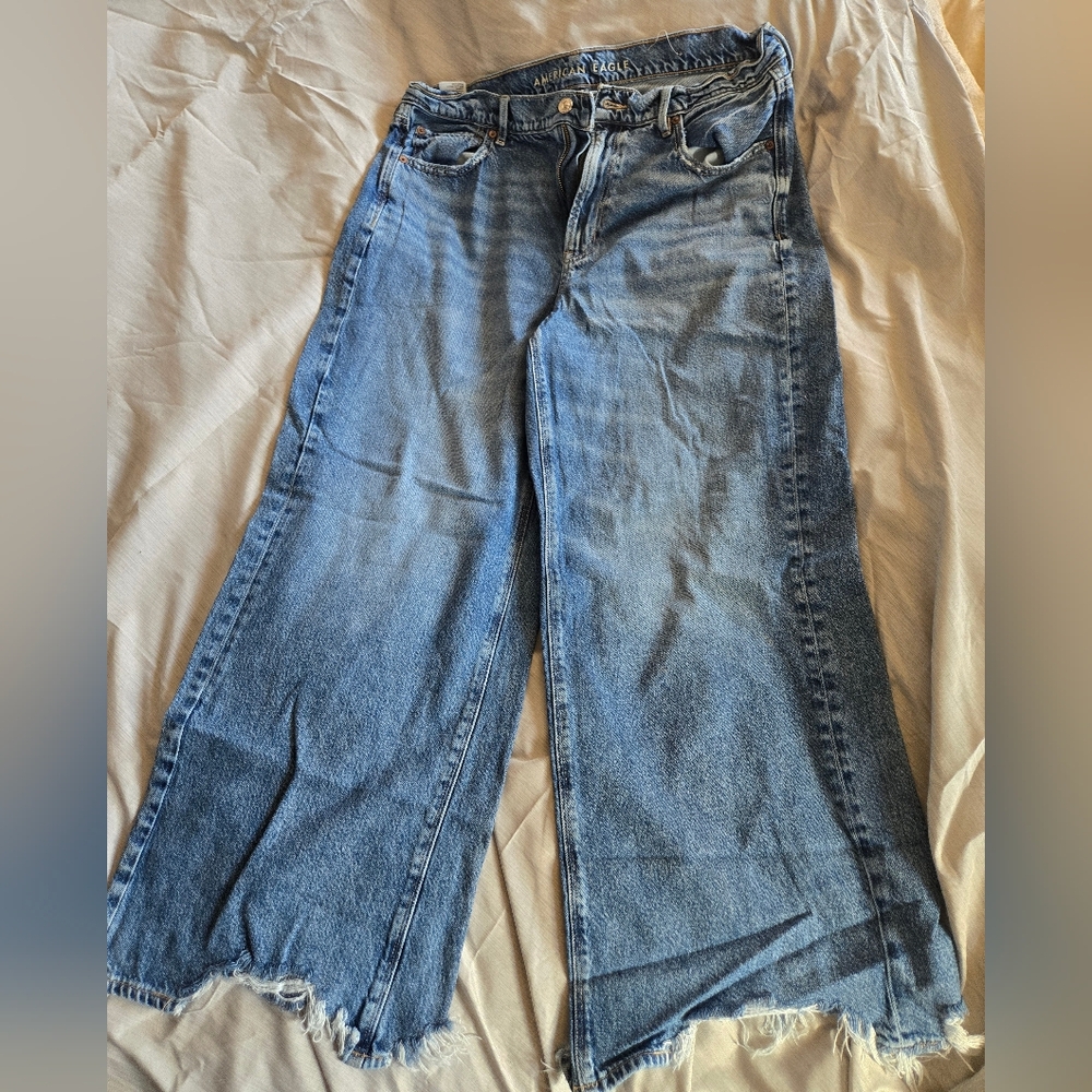 American Eagle Outfitters Baggy Wide Leg Jeans in Classic Blue